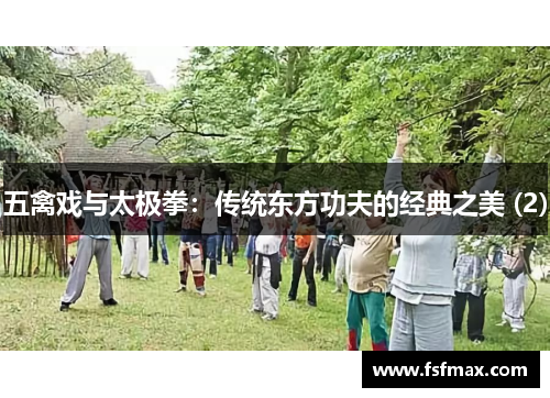 五禽戏与太极拳：传统东方功夫的经典之美 (2)