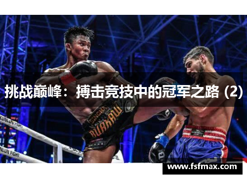 挑战巅峰：搏击竞技中的冠军之路 (2)
